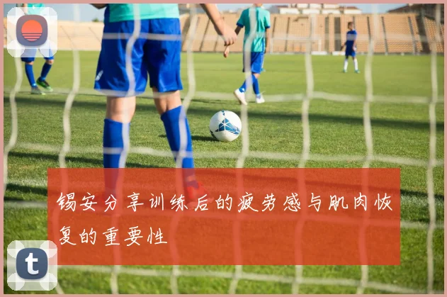 锡安分享训练后的疲劳感与肌肉恢复的重要性